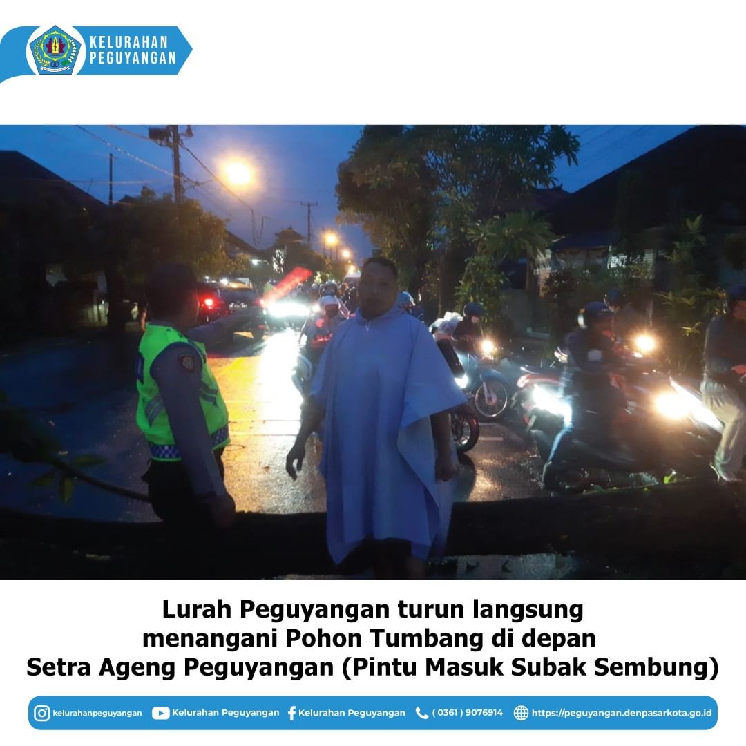 LURAH PEGUYANGAN TURUN LANGSUNG MENANGANI POHON TUMBANG DI DEPAN SETRA AGUNG PEGUYANGAN  