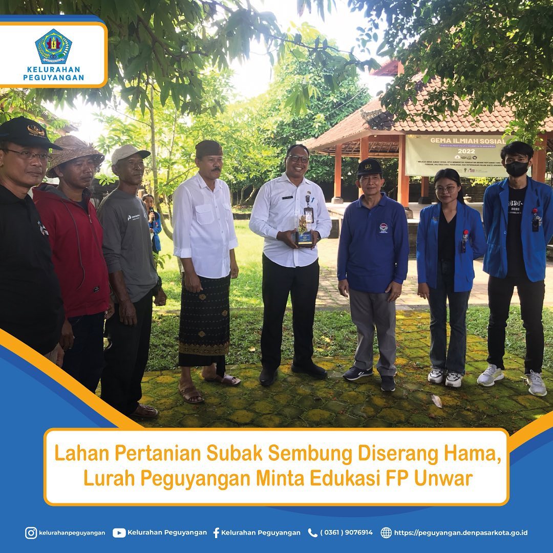 LAHAN PERTANIAN SUBAK SEMBUNG DISERANG HAMA, LURAH PEGUYANGAN MINTA EDUKASI FP UNWAR